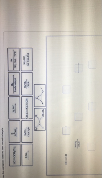 Solved Drag appropriate labels to their respective targets. | Chegg.com