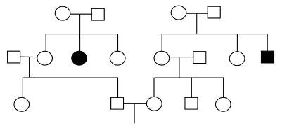 Solved It is autosomal recessive. what is the probability | Chegg.com