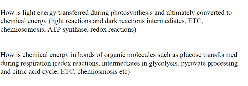 how is light energy transferred in photosynthesis