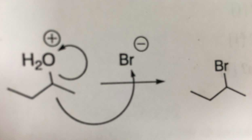 Solved H20 Br Br | Chegg.com