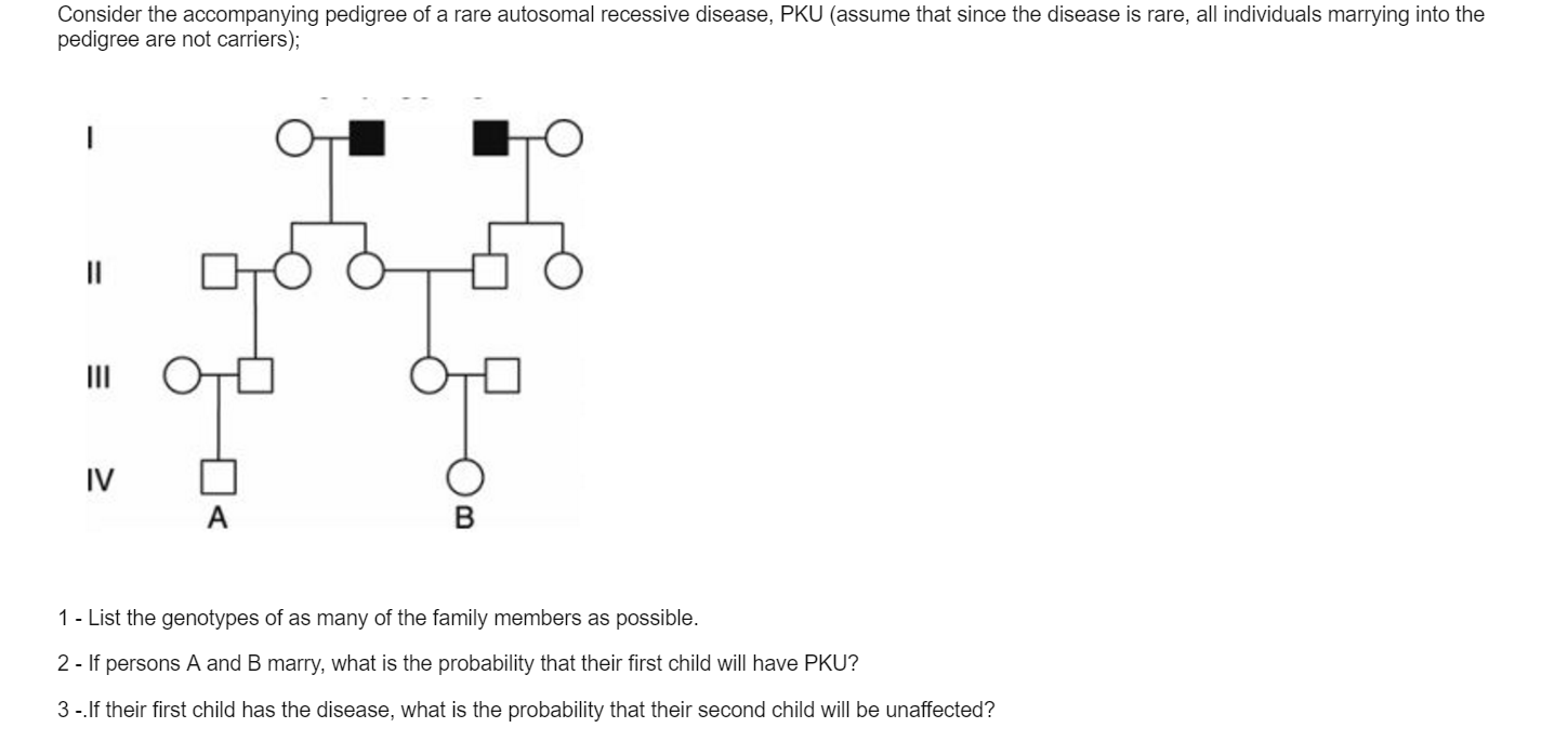 Solved Consider The Accompanying Pedigree Of A Rare 