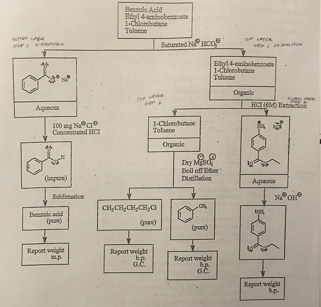 Solved Benzoic Acid Ethyl 4amínobenzoate 1Chlorobutane