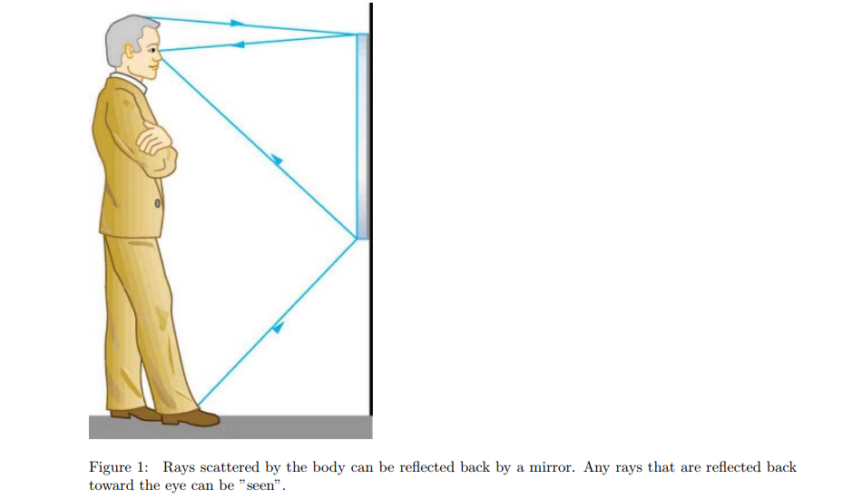 Solved 1. Suppose a man stands in front of a mirror as shown