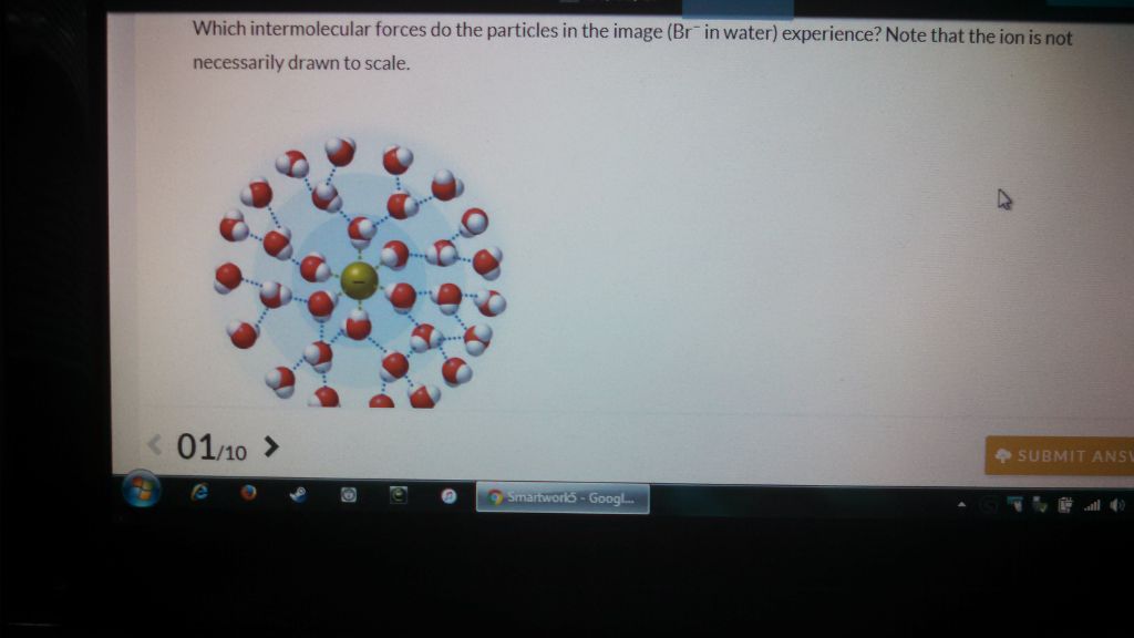 Solved Which intermolecular forces do the particles in the