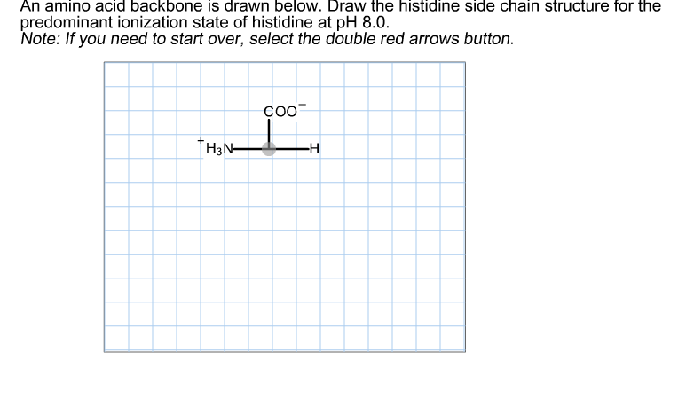 Solved An amino acid backbone is drawn below. Draw the | Chegg.com