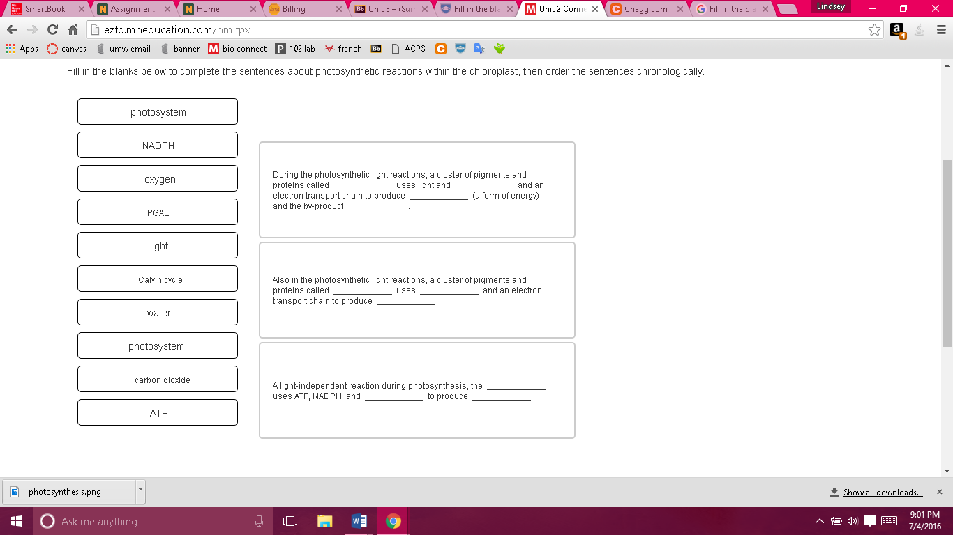 solved-fill-in-the-blanks-below-to-complete-the-sentences-chegg