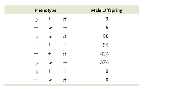 Solved Phenotype Male Offspring Ct 90 95 424 376 0 Ywct Ct