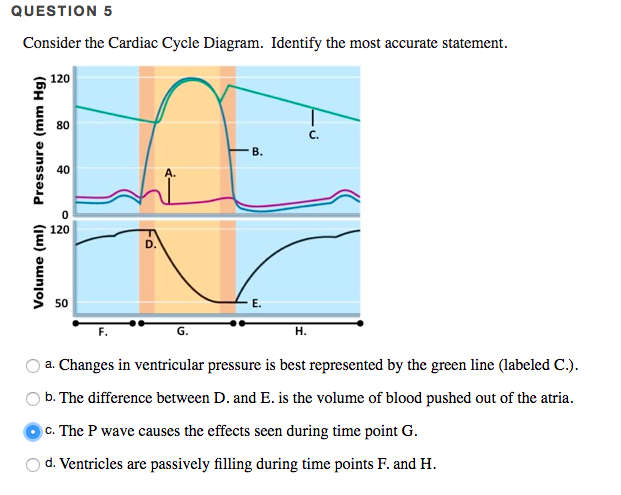 10 Cardiac Cycle Diagram Labeled Robhosking Diagram