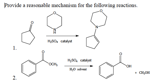 Solved Provide a reasonable mechanism for the following | Chegg.com