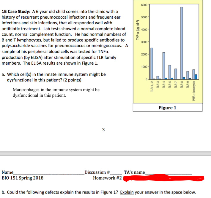 case study of 6 year old child