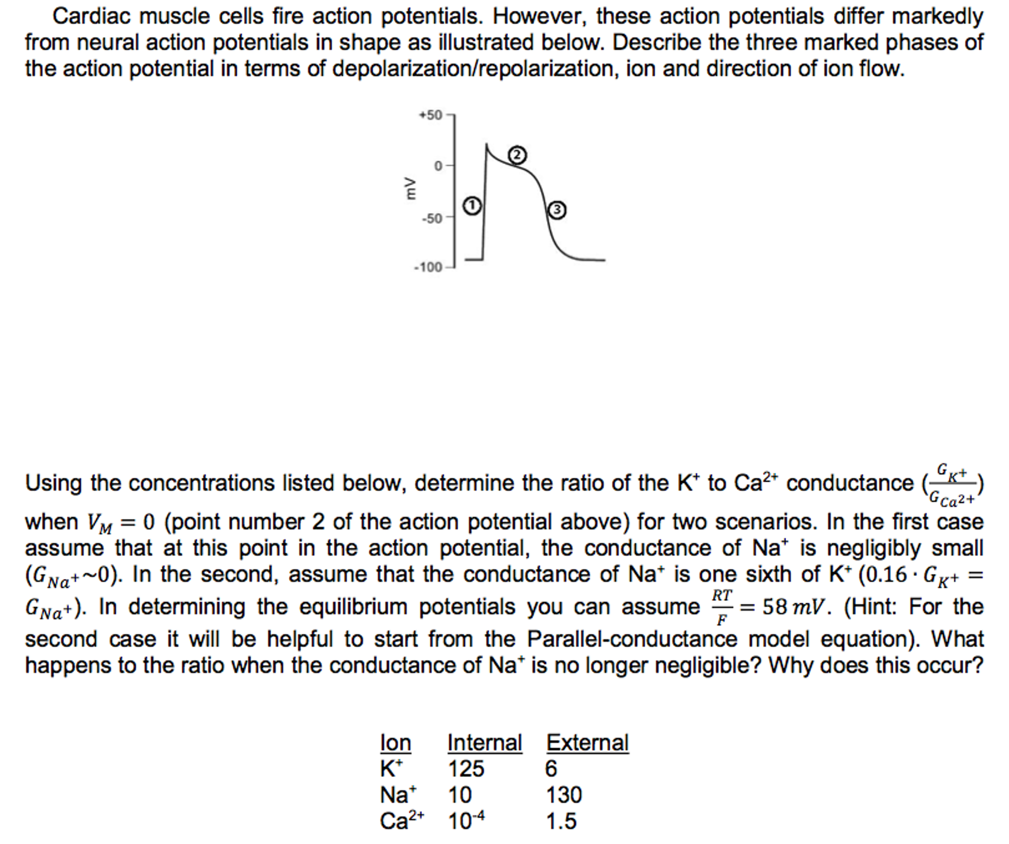 Solved Cardiac muscle cells fire action potentials. However,