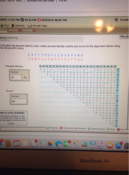 solved-calculate-the-percent-identity-also-called-percent-chegg