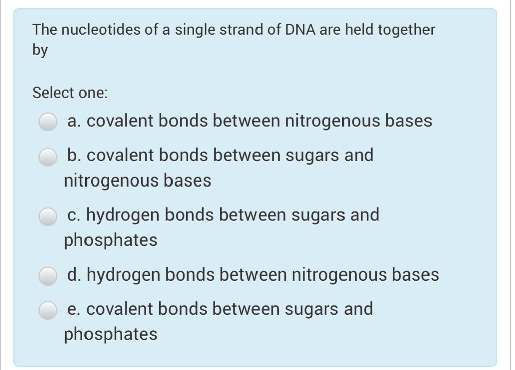 Solved The nucleotides of a single strand of DNA are held