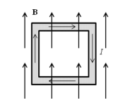 Solved A square current loop is placed in a magnetic field | Chegg.com