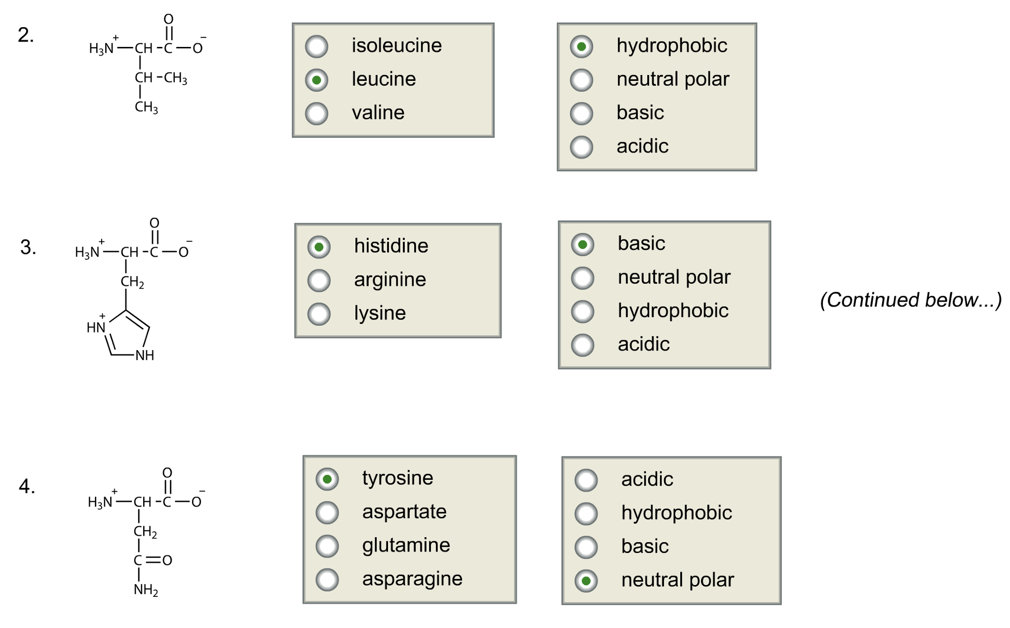 Solved Given the following four amino acids at pH = 7.4,
