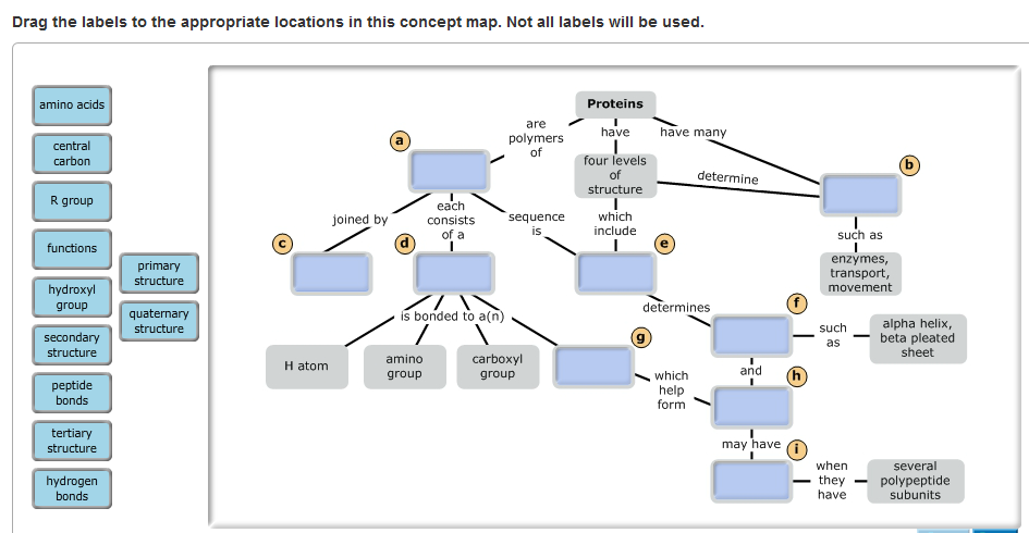 drag the labels to the appropriate locations in this concept map Solved Drag The Labels To The Appropriate Locations In Th drag the labels to the appropriate locations in this concept map