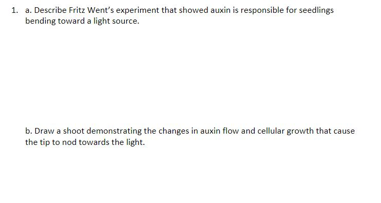 fritz went auxin experiment