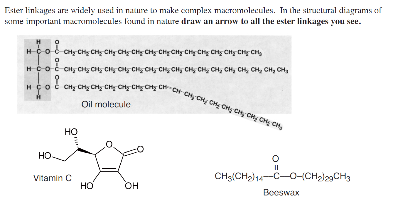Solved Need help identifying ester bonds!