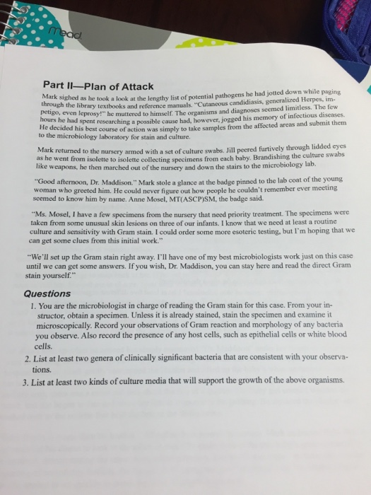 Solved Plan of Attack Mark sighed as he look at the lengthy | Chegg.com