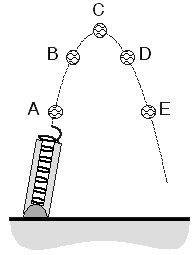 the diagram shows the ball at five locations. At | Chegg.com