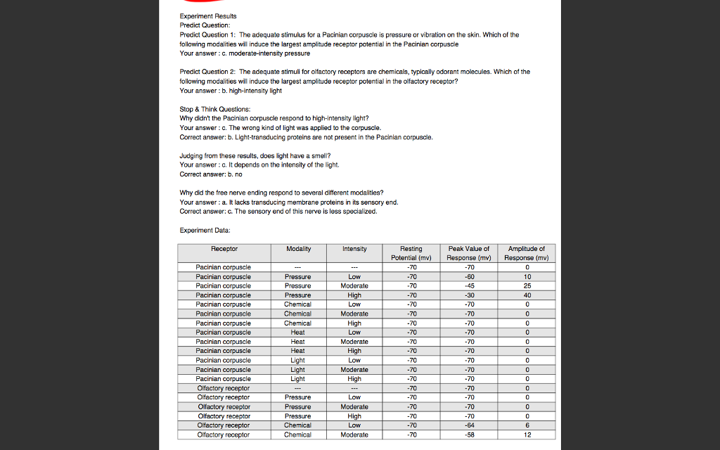 how-to-write-a-data-analysis-for-a-lab-report-lab-report-2019-01-13