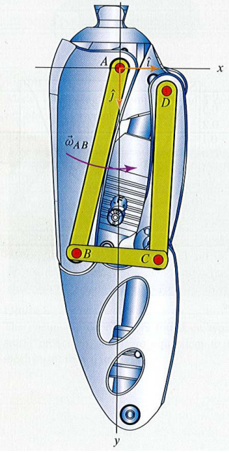 Solved Dynamics Project- The prosthetic leg shown below may | Chegg.com