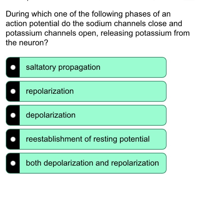 Solved During which one of the following phases of an action | Chegg.com