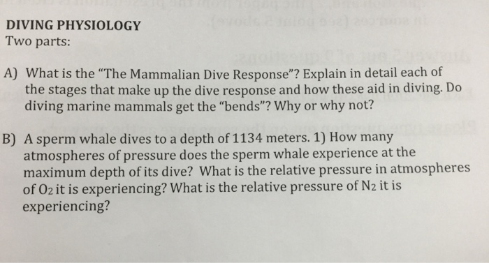 Solved What is the "The Mammalian dive response"? Explain in | Chegg.com