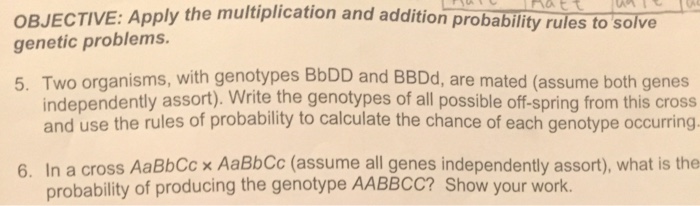 Solved Two organisms, with genotypes BbDD and BBDd, are | Chegg.com