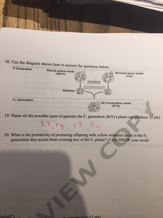 Solved Use The Diagram Shown Here To Answer The Question | Chegg.com