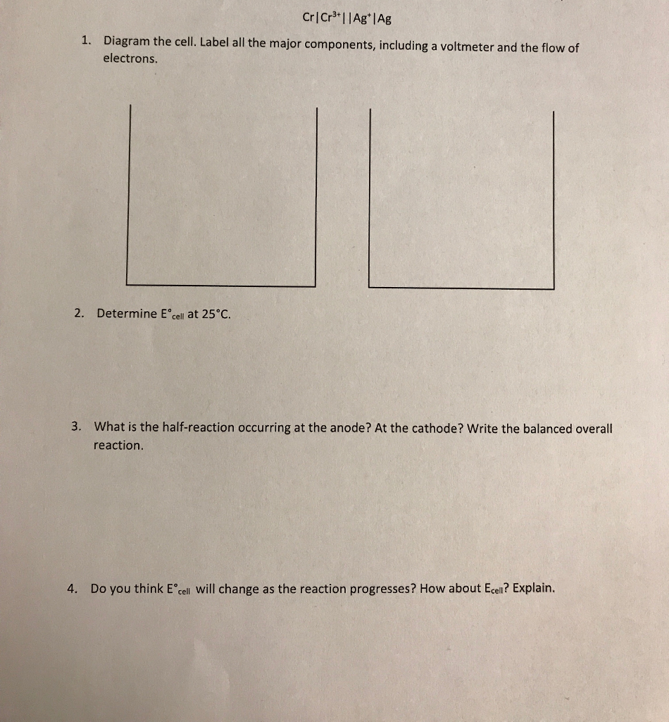 Solved Diagram the cell. Label all the major components,