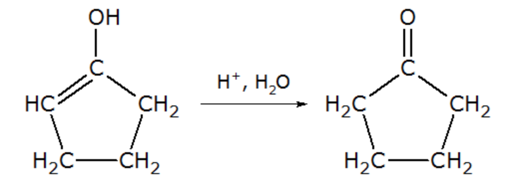 Solved Which Of The Following Classifications Best Describes | Chegg.com