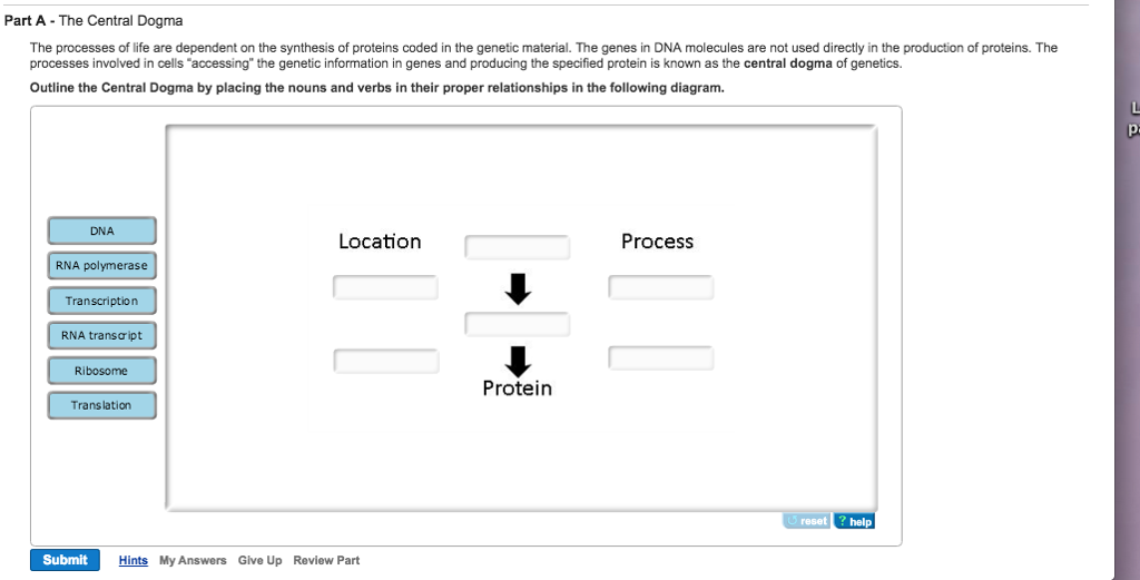 Solved The processes of life are dependent on the synthesis
