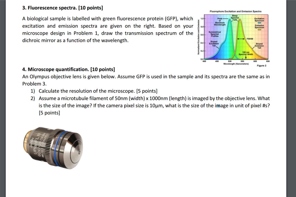 Fluorescence spectra. A biological sample is