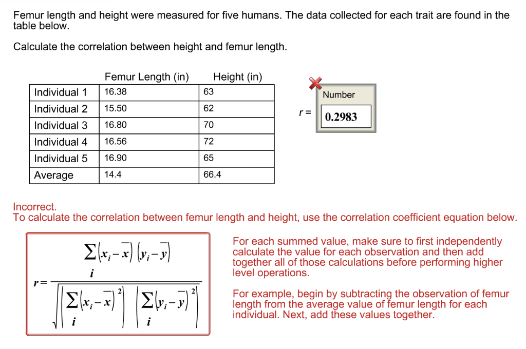 Femur Length Height