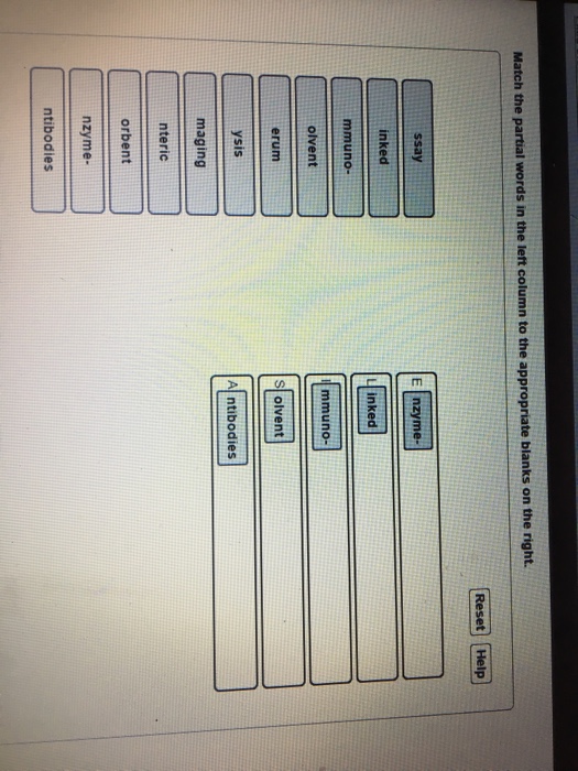 solved-match-the-partial-words-in-the-left-column-to-the-chegg