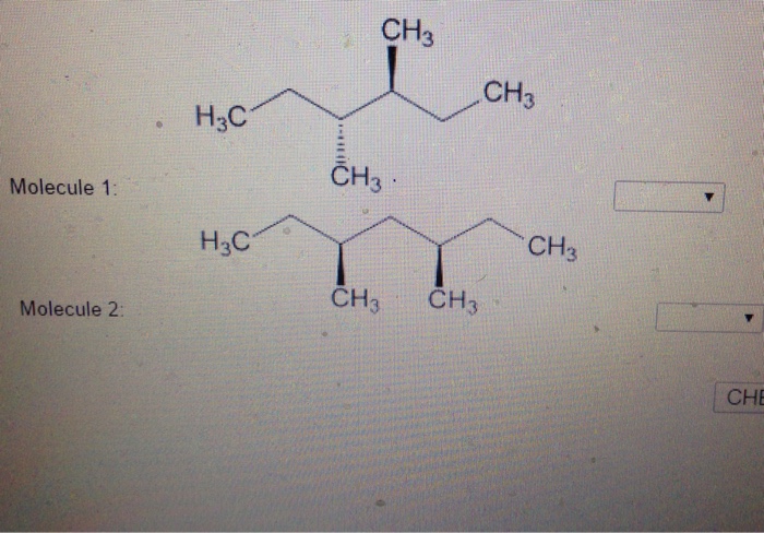 Solved Molecule 1 Ch3 H3c Ch3 Ch3 H3c Ch3 Ch3 Ch3 Molecule 3209