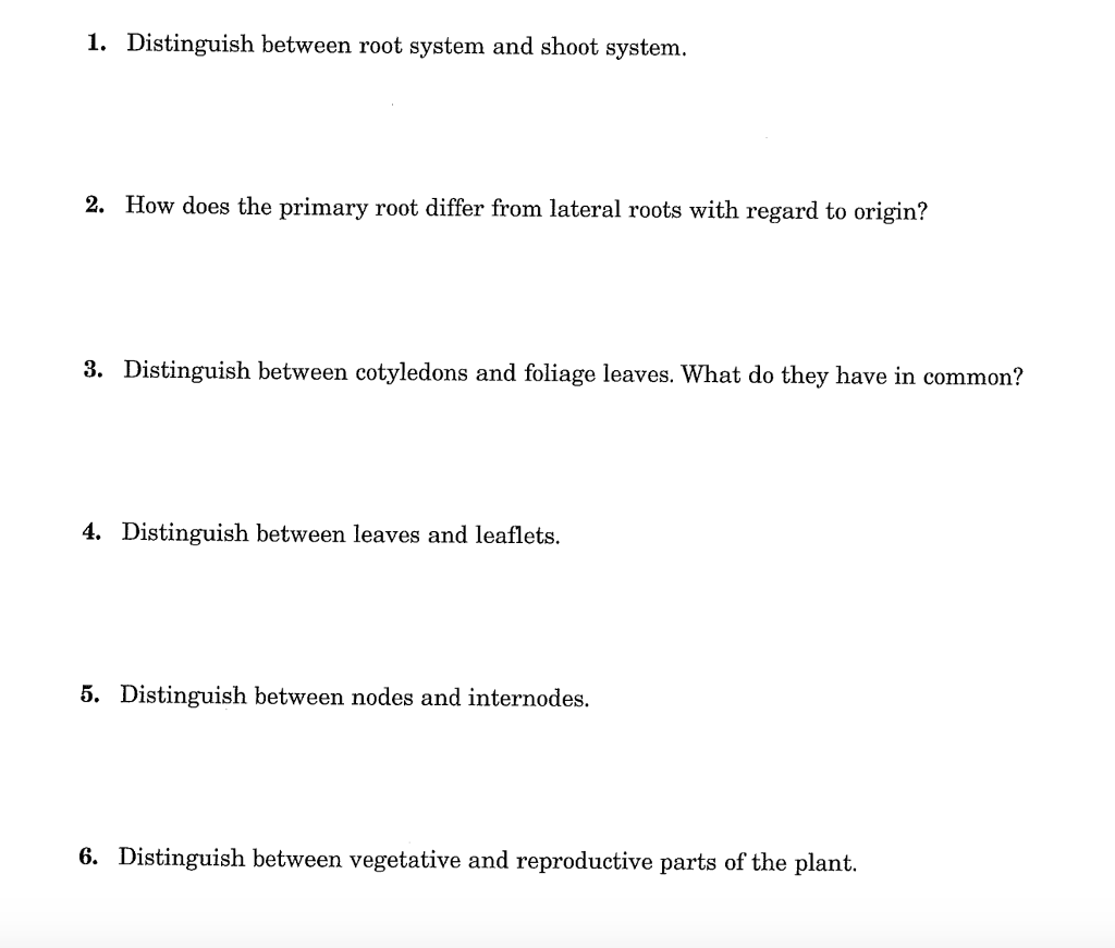 Difference Between Root System And Shoot System