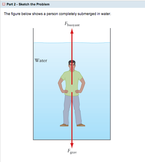 solved-estimate-your-apparent-weight-when-you-are-under-chegg