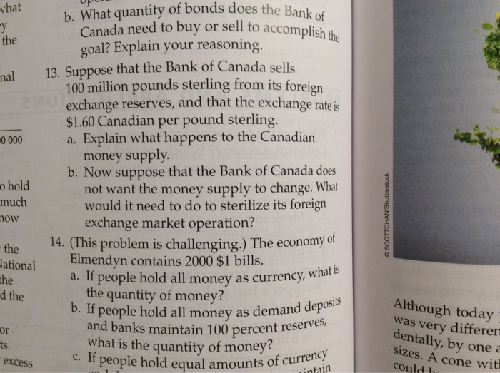 Solved Suppose That The Bank Of Canada Sells 100 Million | Chegg.com