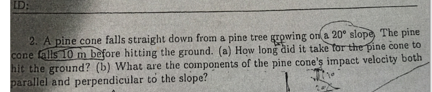 Solved A Pine Cone Falls Straight Down From A Pine Tree Chegg