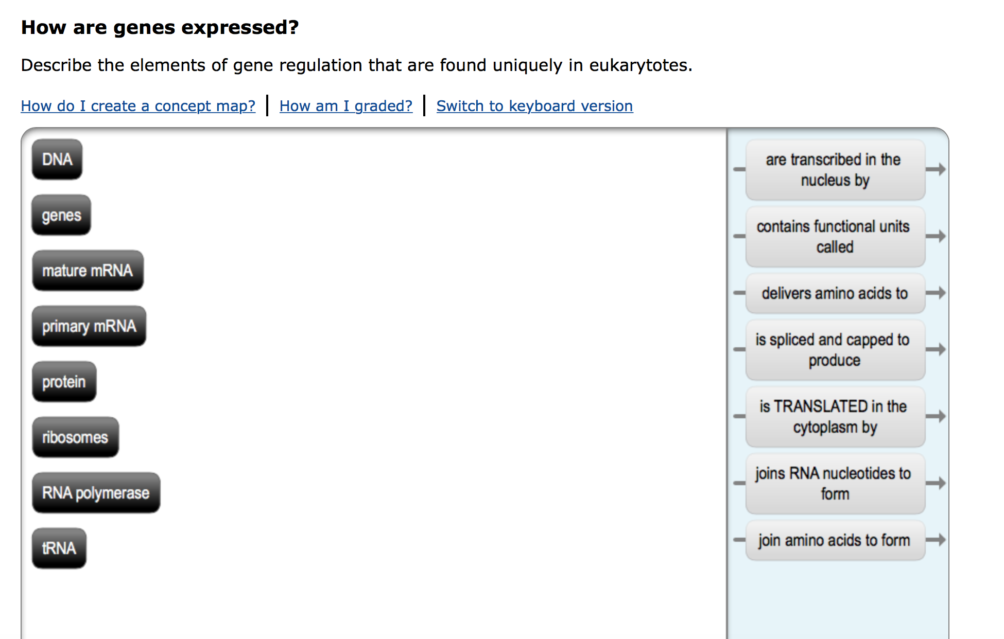 Solved Describe the elements of gene regulation that are | Chegg.com