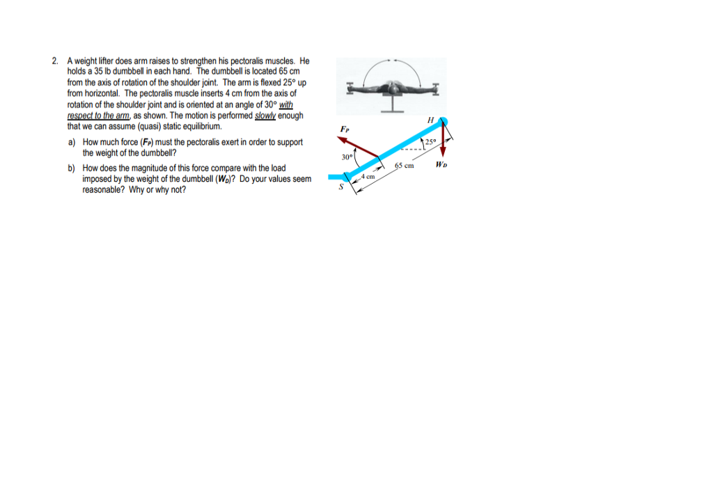 Solved Show all work with free body diagram Weightlifterfter | Chegg.com