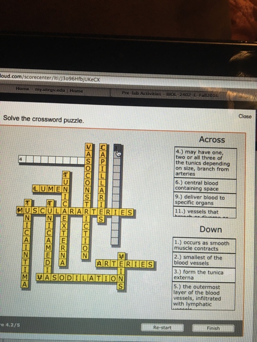 Solved Solve the crossword puzzle Across may have one two Chegg com