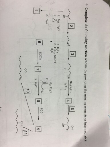 Solved Complete the following reaction scheme by providing | Chegg.com