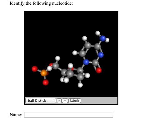 Solved Identify the following nucleotide: | Chegg.com