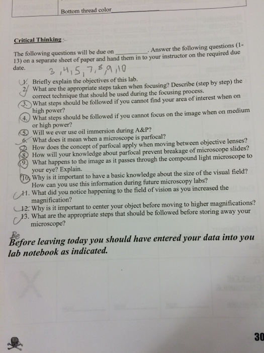 enzymes-graphing-critical-thinking-and-calculating-reaction-rates