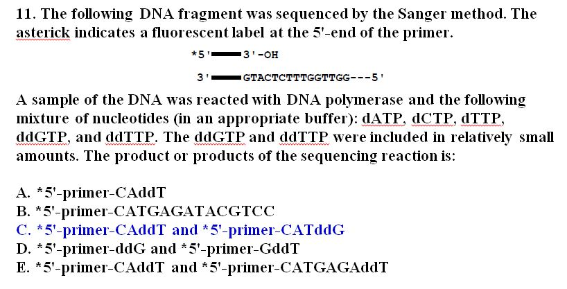 Solved 11. The following DNA fragment was sequenced by the | Chegg.com