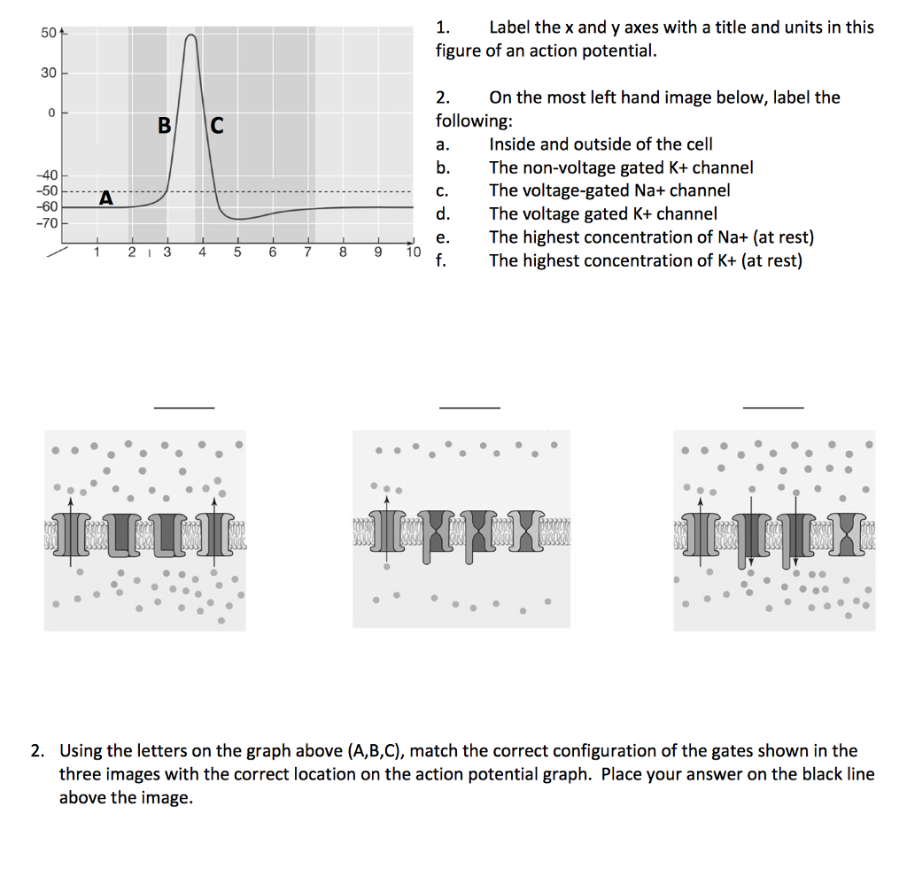 31 Figure Label Above Or Below Labels Design Ideas 2020
