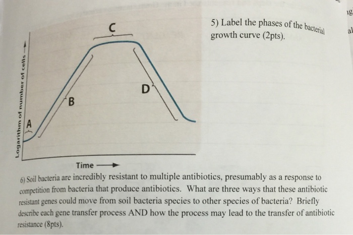 Solved Label the phases of the growth curve Soil bacteria | Chegg.com